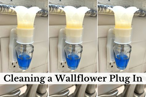 Wallflower Bath And Body Works Plugs, How To Clean Wallflower Plug In, Refill Wallflowers Diy, How To Clean Bath And Body Works Plug In, Reuse Airwick Plug Ins, Bath And Body Works Wallflowers Hacks, Household Help, Cleaning Stuff, Diy Air Freshener