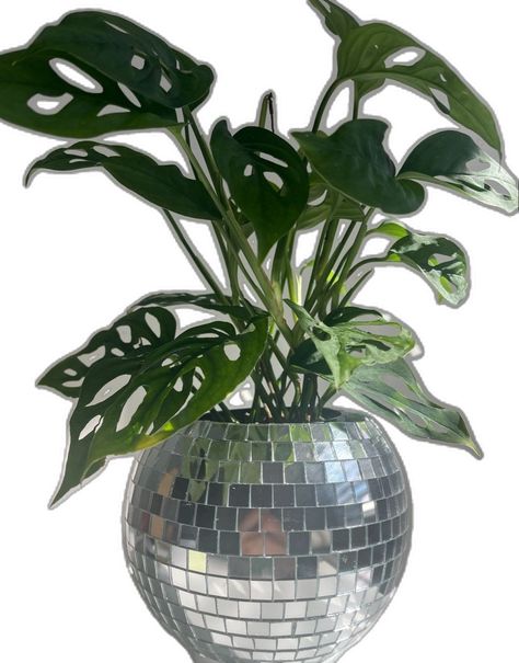 Disco Planter, Disco Ball Planter, Apartment Decor Inspiration, Dream Room Inspiration, Room Makeover Bedroom, Room Makeover Inspiration, Cute Room Decor, Room Inspiration Bedroom, Room Ideas Bedroom