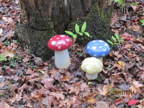 Spring Vegetable Garden, Backyard Garden Diy, Wood Salad Bowls, Garden Mushrooms, Exquisite Gardens, Small Backyard Gardens, Plastic Glasses, Homestead Survival, Garden Photography