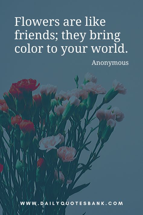 Read inspirational flower quotes. Also check beautiful flower quotes about love, life, wisdom, friend, family, dead, garden, dream, sadness, funny and philosophy.flower quotes tumblr, cute love flower quotes, flower quotes pinterest, daisy flower quotes, flowers quotes for her, delicate flower quotes, flower garden quotes, quotes about flowers blooming, flower sayings, red flower quotes, caption for flowers photo, caption for flower photography. #dailyquotesbank #flowerquotes #gardenquotes Spring Quotes Flowers, Inspirational Flower Quotes, Quotes About Flowers Blooming, Bachelorette Quotes, Quotes Related To Life, Flower Quotes Inspirational, Flower Poetry, Beautiful Flower Quotes, Bloom Quotes