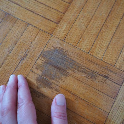 How To: Remove Stains from Wood - The Craftsman Blog Remove Stains From Wood, Removing Stain From Wood, Water Stain On Wood, Plank Hardwood Floors, Wine Stain Remover, Renovation Plan, Coffee Stain Removal, Remove Rust Stains, Remove Water Stains