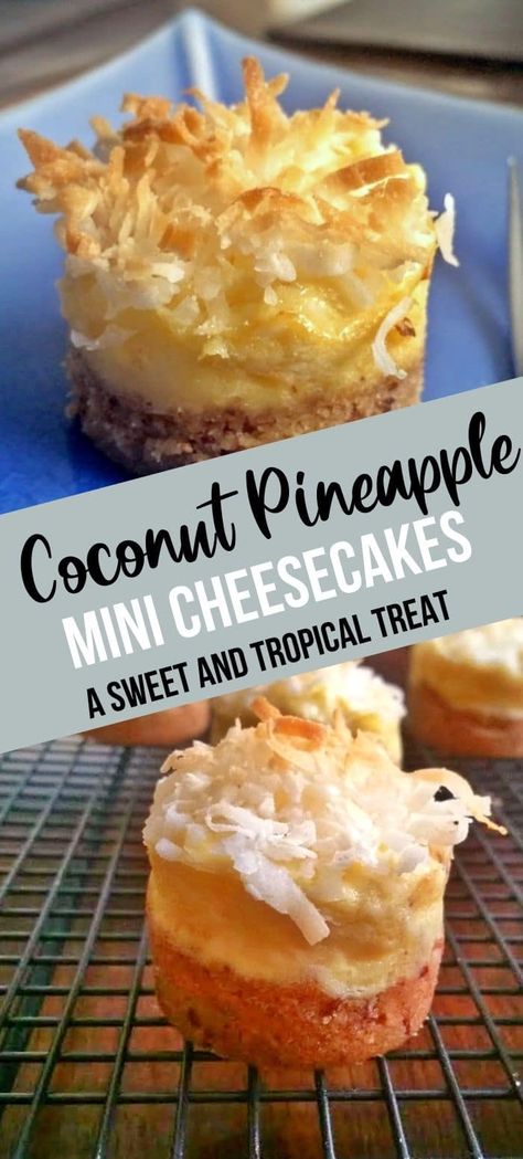 Cheesecake Minis, Pineapple Cheesecake, Cheesecake Layer, Mini Cheesecake Recipes, Coconut Cheesecake, Cheesecake Dessert, Cheesecake Bites, Mini Cheesecakes, Food Cakes