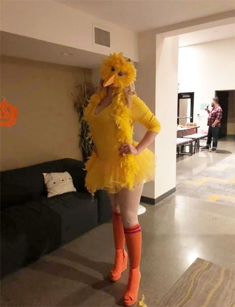 Diy Chicken Costume, Big Bird Halloween Costume, Bird Halloween Costume, Coolest Costumes, Duck Costumes, Last Minute Costume, 32 Weeks Pregnant, Last Minute Costumes, Brain Cells