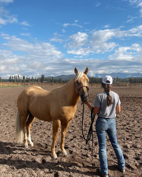 we’re just girls #horses #horselover #ranchlife #cowboylife #horsegirl #montana #ranching #horsemanship #equestrian #quarterhorse Ranch Girl, Cowboy Aesthetic, Boys Life, Ranch Life, Cow Girl, Quarter Horse, July 1, Horse Girl, Country Girl