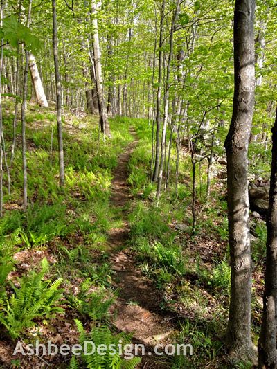 Woodland Trails by Ashbee Design Forest Walkway Design, Woodland Trail, Wood Trails Pathways, Making Trails In The Woods, Woodland Path, Forest Pathways, Nature Trail Design, Michigan Gardening, Walkway Design