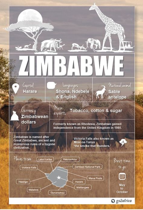 Zimbabwe safaris Zimbabwe Africa, Country Information, Africa Travel Guide, Travel Infographic, African Travel, Koh Tao, Amazing Travel Destinations, African Safari, Travel List