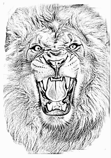 Angry Lion Tattoo Design, Daniel Tattoo, Lion Art Tattoo, Lion Sketch, Head Anatomy, Lion Tattoos, John Wayne Movies, Statue Tattoo, Lion Tattoo Design