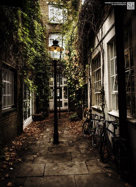 London Alleyway at Playhouse Court.  ©2015 Salted Print London Travel Guide, Perjalanan Kota, Pretty Places, Westminster, London England, Beautiful World, Places To See, Places To Travel, Ivy