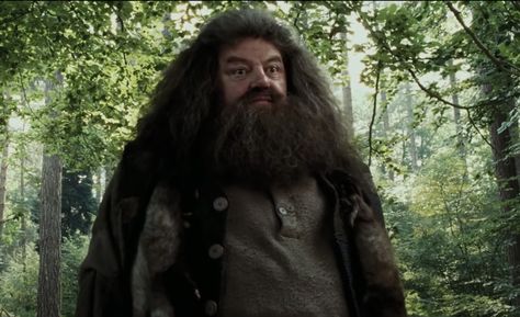 Harry Potter Professors, Hogwarts Professors, Robbie Coltrane, Rubeus Hagrid, Matthew Lewis, Superhero Names, List Of Characters, Oliver Phelps, Fred And George Weasley