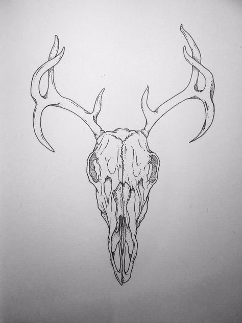 Wendigo Skull Drawing, Reindeer Skull Tattoo, Stag Skull Drawing, Deer Skull Outline, Stag Skull Tattoo, Reindeer Skull, Deer Skull Drawing, Reindeer Tattoo, Antlers Drawing