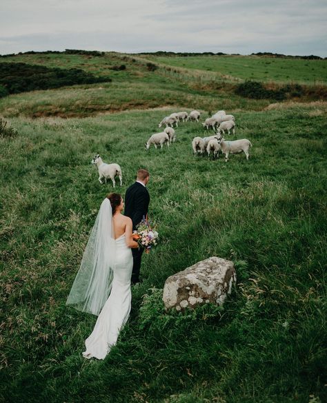 Do you want adventure in the great wide somewhere? (Who can name THAT lyric?!) Then an Ireland Elopement is for you!  Halie and Nicholas experienced firsthand the natural beauty of Ireland’s rugged Atlantic coastline -- and made a few friends along the way 🐑🤍  Don't wait to ask about how we can make a dream Ireland elopement happen for you. #elopinginireland   Halie and Nicholas | Texas, USA Photographer: @karmilcovasphotography Elopement Planner: @elopinginireland.ie Ireland Elopement Photography, Ireland Cliff Wedding, Makeup Bouquet, Cliff Side Elopement, Ireland Cliffs, Ireland Elopement, Iceland Wedding Elopements, Cliffs Of Moher Ireland, Elopement Planner