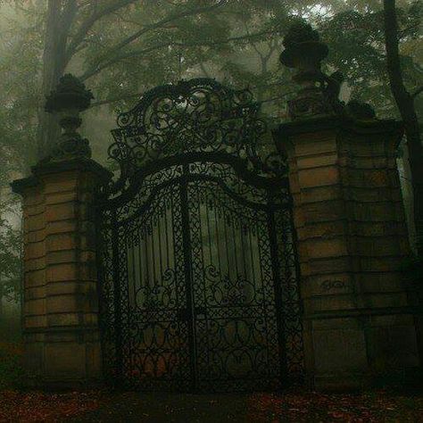 Old Mansion Gate By Any Means Necessary, Slytherin Aesthetic, Iron Gates, Iron Gate, Dark Academia Aesthetic, Gothic Architecture, Draco Malfoy, Beautiful Creatures, Dark Aesthetic