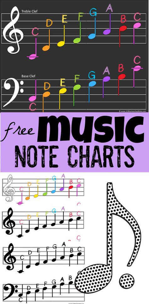 Is music theory part of your homeschool? It is easier than you think to teach kids how to read music on the treble clef and base clef with this handy music notes chart. This music note chart is a free music printable for kids to reference as they learn to read music, learn piano, and more! There are colorful and black and white options in 3 sizes! Use this printable music notes chart with kindergarten, first grade, 2nd grade, 3rd grade, 4th grade, 5th grade, 6th grade, and middle school ... Teaching Music Notes, Printable Music Notes, Music Theory Printables, Music Flashcards, Learning Music Notes, Music Theory Piano, Piano Lessons For Kids, Music Printables, Reading Sheet Music