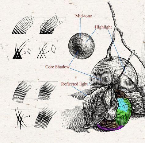 Hatching Exercise, Crosshatching Drawing, Hatch Drawing, Scratchboard Illustration, Inking Techniques, Ink Drawing Techniques, Ink Techniques, Texture Drawing, Art Basics