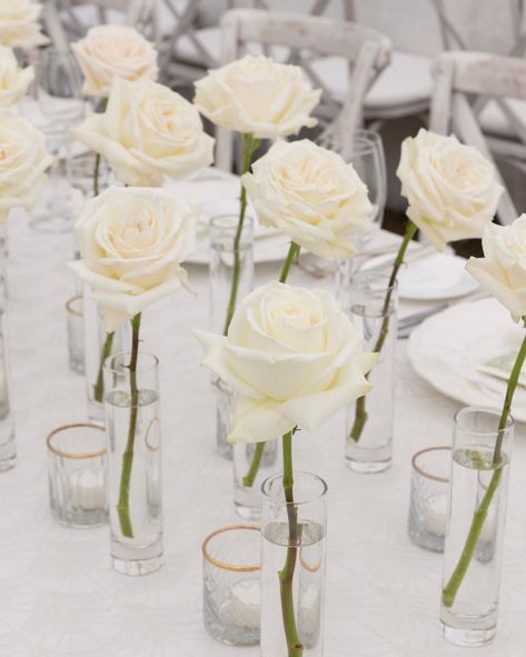 An ethereal dream brought to life at the Montage Palmetto Bluff ✨🌿 The Severs’ all white wedding with accents of lush green was one to… | Instagram Montage Palmetto Bluff, Minimalist Centerpiece, Minimalist Wedding Reception, Palmetto Bluff, All White Wedding, Bud Vase, Lush Green, Minimalist Wedding, All White