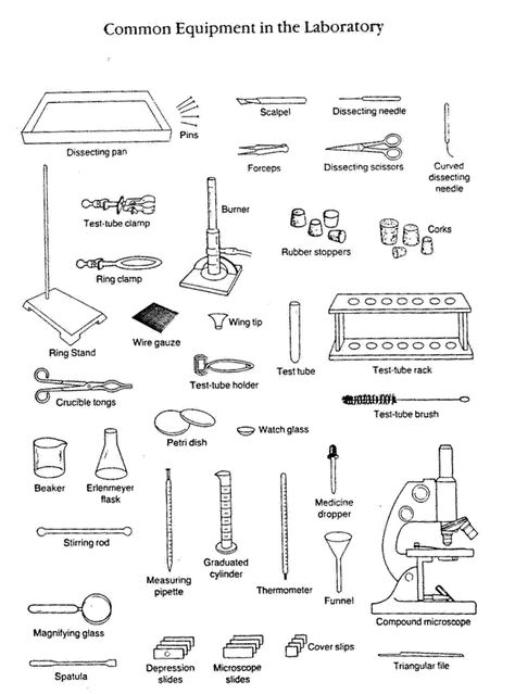 Materials Worksheet, Estimating Square Roots, Fact Family Worksheet, Chemistry Lab Equipment, Compound Words Worksheets, Balancing Equations, Science Equipment, Chemistry Education, Lab Instruments