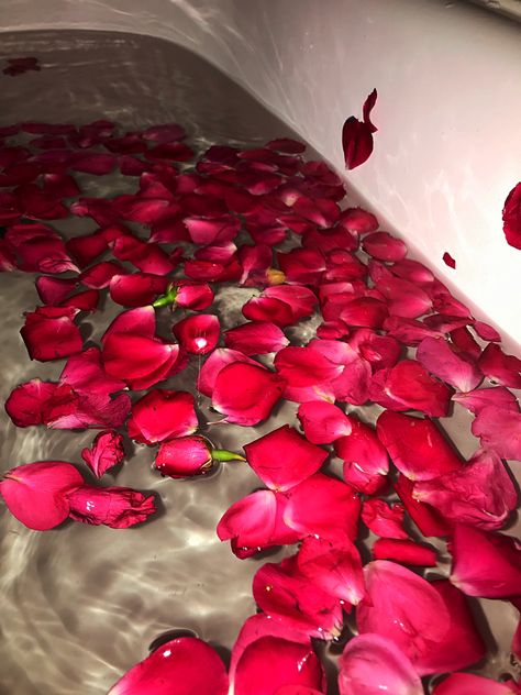 Rosewater Aesthetic, Roses In Water, Red Flower Wallpaper, Dope Wallpaper, Rose Petal Bath, Bath Aesthetic, Red Aesthetic Grunge, Bath Stuff, Flowers Water