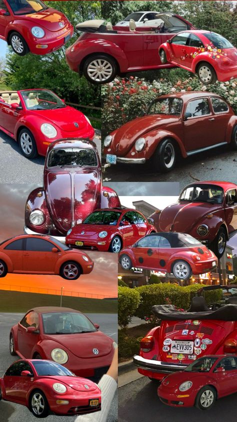 red beetles 🪲 #fypshuffles #fyp #fyppppp #cars #beetlecars #beetles #shufflefyp #collages Red Beetle, Bug Car, Beetle Car, Car Goals, Sweet Cars, Vroom Vroom, My Dream Car, Vw Beetles, Cute Cars