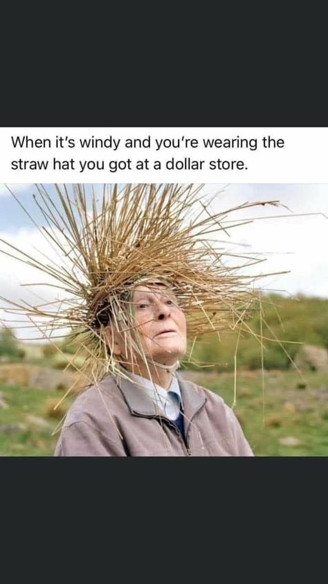 Windy Day Humor, Hey Monday, Weather Memes, Age Humor, Old Age Humor, Funny Weather, Make Em Laugh, Laughter The Best Medicine, Winter Quotes