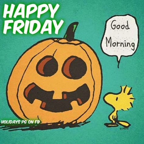 Happy Friday Good Morning Halloween Quote Happy Friday Pictures, Days Till Halloween, It's The Great Pumpkin, Woodstock Peanuts, Peanuts Halloween, Peanuts Comic Strip, Snoopy Halloween, Peanuts Cartoon, Peanuts Characters