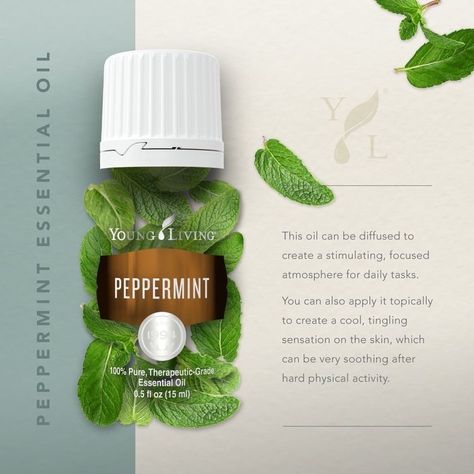 Peppermint Essential Oil Young Living, Peppermint Essential Oil Uses, Essential Oils For Cleaning, Peppermint Oil Benefits, Young Living Peppermint, Chemical Free Makeup, Copaiba Essential Oil, Chemical Free Cleaning, Essential Oils Cleaning