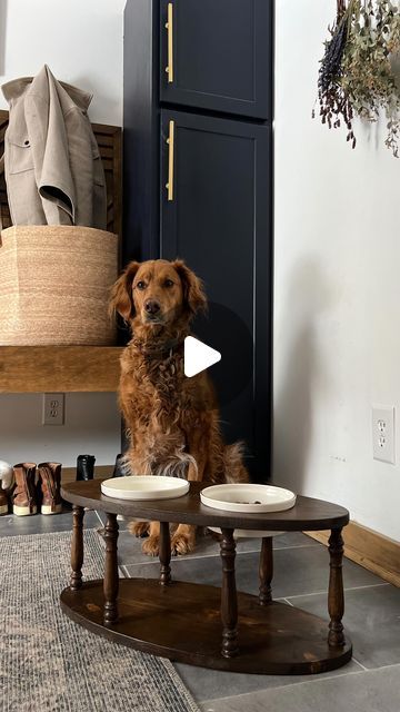 Bre Bertolini on Instagram: "Oakley’s dog food holder that I made 5 years ago needed an upgrade so I dreamt up a new design. I couldn’t find the right size spindles online so I hit the antique shops and found the PERFECT little table for $8 to deconstruct. 🙌🏻 a little sanding, a little band sawing and a little staining and it turned out even cuter than I imagined it would 🥰 even without it’s beveled edge 😉 hope you like your new food stand oaks, and all the treats it took to get these shots 🐶🤍" Dog Food Stand, Dog Food Holder, Dog Food Stands, Food Stand, Food Stands, New Food, January 26, Dogs Of The World, Antique Shops