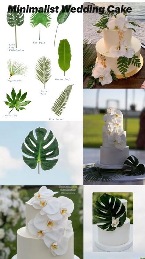 White Party Theme, Tropical Wedding Cake, Wedding Cake Table, Wedding 2025, Tropical Destinations, Wedding 2024, Cake Table, White Party, Tropical Wedding