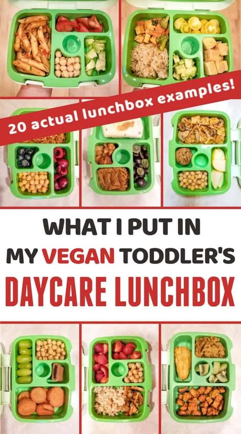 Vegan toddler lunch ideas for daycare: 20 actual lunchboxes I've put together for my vegan toddler + tips on how to make your vegan kids' school lunches tasty, healthy, and easy to make for you! #vegankids #veganlunch #vegankidsfood #veganschoollunches #vegan #veganparents Vegan Toddler Lunch, Vegetarian Kids Lunch, Vegan Lunchbox Ideas, Lunchbox Ideas For School, Lunch Ideas For Daycare, Toddler Lunch Ideas For Daycare, Daycare Lunch Ideas, Toddler Lunch Ideas, Vegan School Lunch