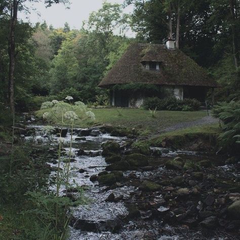 Forestcore Aesthetic, Dark Cottagecore Aesthetic, Forest Core, Wild Forest, Dark Cottagecore, Cool Sketches, Fantasy Aesthetic, Autumn Aesthetic, Cabins In The Woods