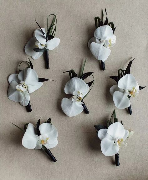 Ranch Mansion, White Orchids Wedding, Mansion Estate, Orchid Boutonniere, Orchid Bouquet Wedding, Modern Wedding Bouquets, White Boutonniere, Orchid Bouquet, White Wedding Theme