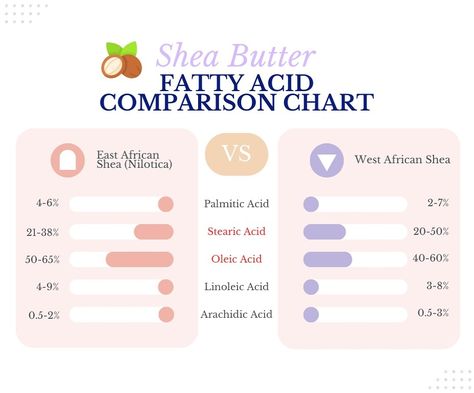 Some of the differences between East African (Nilotica) Shea and West African Shea butter are: 1) East African (Nilotica) shea has a higher percentage of oleic acid, which makes it softer and creamier, 2) West African Shea has a higher percentage of stearic acid, which gives it a more solid consistency, 3) East African (Nilotica) shea is more rare. It only represents 1% of all shea worldwide. You’ll only find those trees in North Uganda and South Sudan, and 4) West African shea is more commo... African Shea Butter, Botanical Skincare, South Sudan, Bath And Body Care, Uganda, Natural Skin, Natural Skin Care, Shea Butter, Body Care