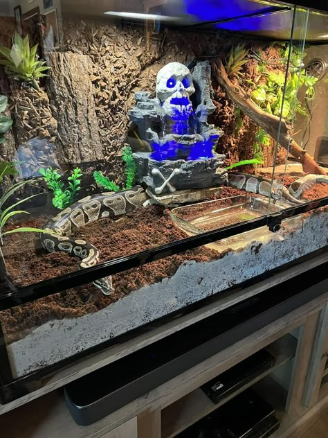 DIY Reptile Enclosures | My first build Halloween Reptile Tank, Themed Reptile Enclosure, Snake Tank Setup Ideas, Themed Snake Enclosure, Cool Reptile Enclosures, Goth Snake Enclosure, Large Snake Enclosure, Snake Enclosure Ideas Ball Python, Snake Tank Setup Ball Python