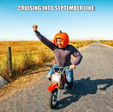 Whoop whoop! It's officially autumn start. Happy September, folks! 🎃🍂 October Memes, Fall Weekend Getaway, Cheap Halloween Decorations, Fall Memes, Autumn Instagram, Halloween Memes, Funny Fall, Happy September, Whoop Whoop