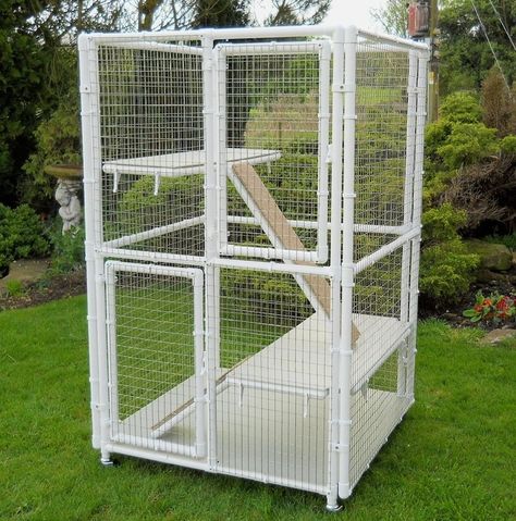 Indoor Cat Cages Enclosures - Ideas on Foter Cat Cages Indoor, Diy Cat Enclosure, Low Maintenance Pets, Ferret Cage, Cat Patio, Cat Pen, Cat Cage, Outdoor Cat Enclosure, Cat Run