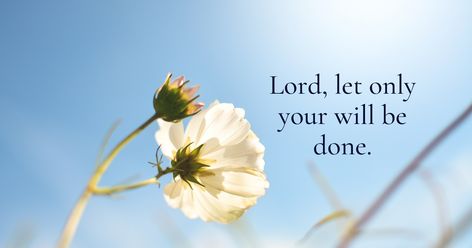 Prayer For The Week: Lord, may nothing separate me from you this week. Everything I see, let it be through your eyes. Everything I do, let it be your will. For every difficulty I face, let me place it in your Hands. Your ways are perfect, Lord. Guide me today and every day in Your will. Amen. Lord Your Will Be Done, Let Your Will Be Done Quotes, Prayer For The Week, Your Will Be Done, Bible Sayings, Friendship Photoshoot, Done Quotes, Quotes Bible, Daily Encouragement