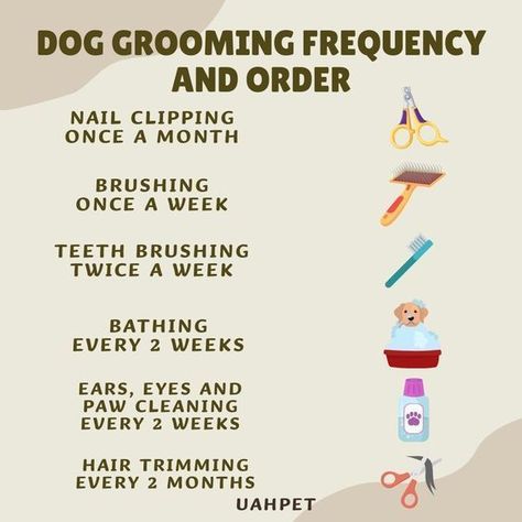 Discover how Brain Training for Dogs can improve your pet’s intelligence and behavior. Engage your dog with fun, effective exercises… Spoiled Dog, Puppies Tips, Dog Remedies, Puppy Mom, Spoiled Dogs, Dog Mommy, Dog Behavior Problems, Dog Enrichment, Dog Health Tips