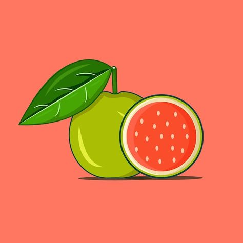 Guava fruit vector Premium Vector | Premium Vector #Freepik #vector #food #summer #green #nature Guava Vector, Fruit Doodle, Guava Fruit, Home Lock Screen, Food Summer, Fruit Vector, Fruits Images, Vector Food, Summer Green