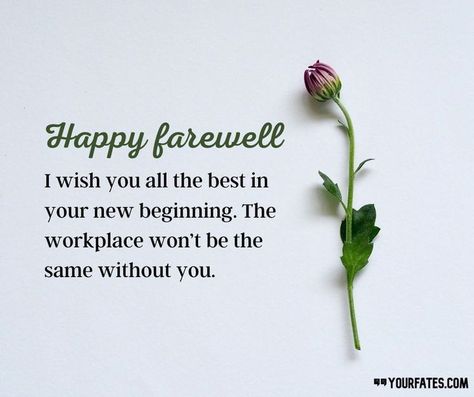 Farewell Message Colleague Greeting Card, Farewell Thoughts For Seniors, Best Wishes For Colleague Leaving, Farewell Notes For Seniors, Happy Farewell Quotes, Farewell For Colleague, Farewell Wishes For Seniors, Farewell Greeting Cards For Seniors, Farewell Notes To Coworkers