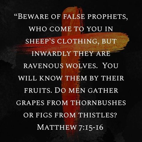 Beware Of False Prophets, Heaven Is Real, Prophet Quotes, I Love The Lord, False Prophets, Christian Scripture, Bible Facts, Bible Teachings, Bible Knowledge