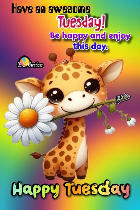 Cute Tuesday Quotes Good Morning, Tuesday Humor Mornings, Deceived Quotes, Good Morning Tuesday Wishes, Text Pic, Good Morning Happy Tuesday, Happy Tuesday Images, Tuesday Pictures, Happy Tuesday Morning