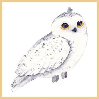 Free Vector | Watercolor gingerbread man cookie collection Snowy Owl Drawing, Owl Drawing, Hand Drawn Elements, Owl Watercolor, Owls Drawing, Snowy Owl, Vector Hand, A Background, Cute Owl