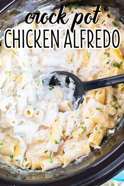 Pasta Recipes For A Crowd, Crock Pot Chicken Alfredo, Crock Chicken, Crockpot Chicken Alfredo, Chicken Alfredo Recipe, Alfredo Chicken, Crockpot Pasta Recipes, Crockpot Pasta, Chicken Crockpot Recipes Easy