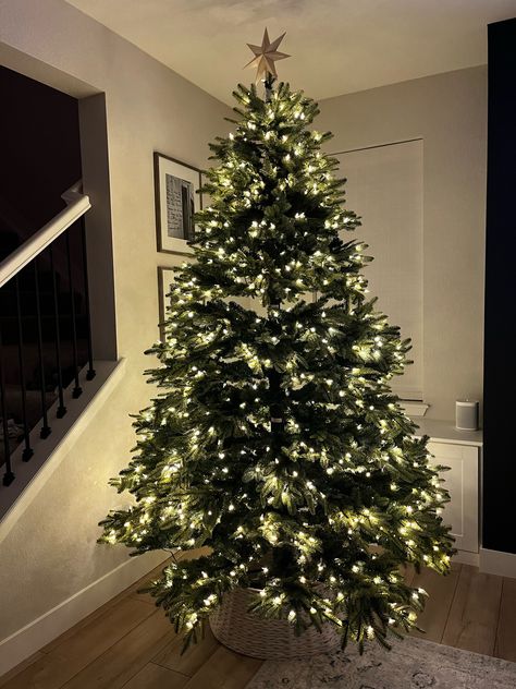 Shop Balsam Hill 7.5ft Premium Pre-lit … and other curated products on LTK, the easiest way to shop everything from your favorite creators. Christmas Decorations Apartment, Balsam Hill, Tis The Season, Christmas Decorations, Christmas Tree, Apartment, Holidays, The Creator, Marketing