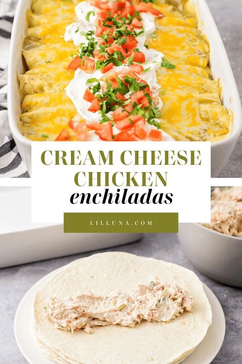 Cream cheese chicken enchiladas are thick and creamy with a touch of spice. They prep in minutes for a favorite weeknight dish! #chickenenchiladas #creamcheesechickenenchiladas #enchiladas #mexicandish Healthy Cream Cheese Recipes, Cream Cheese Enchiladas, Asian Steak Bites, Healthy Cream Cheese, Cream Cheese Chicken Enchiladas, Touch Of Spice, Creamy Chicken Enchiladas, Cheese Chicken, Chicken Enchilada Recipe