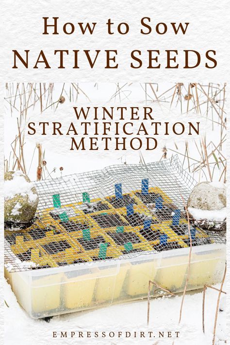 How to Sow Hardy Seeds Outdoors in Pots (Easy Winter Method) Vineyard Cottage, Cold Climate Gardening, Propagation Tips, Winter Sowing, Herbs To Grow, Answer The Phone, Planting Calendar, Grow A Garden, Annual Garden