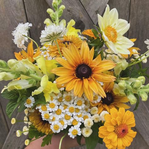 Yellow Dahlia Bouquet, Snapdragon Flowers Bouquets, Rudbeckia Bouquet, Snap Dragon Bouquet, Feverfew Bouquet, Scabiosa Bouquet, Florist Portfolio, Snapdragon Bouquet, Bouquet Tips