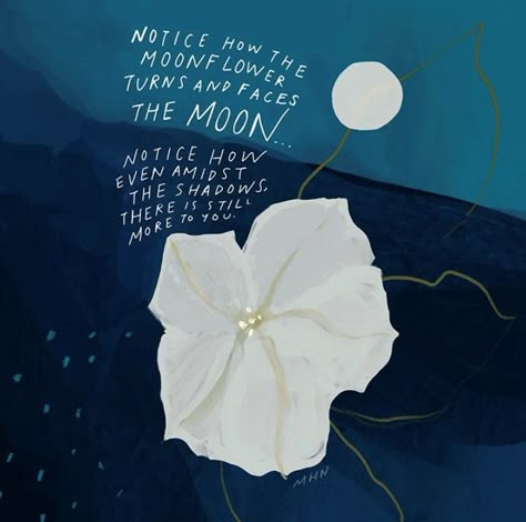 "Notice how the moonflower turns and faces the moon... notice how even amidst the shadows, there is still more to you." ~ Morgan Harper Nichols 🌝 🌸 @morganharpernichols Brianna Wiest, Healing Message, Childrens Poems, Moon Quotes, Bts Jungkook Birthday, Flower Meanings, Morgan Harper Nichols, Find Quotes, Night Garden