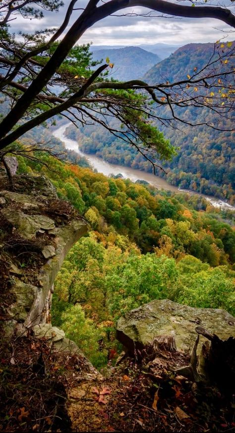 New River Gorge National Park, New River Gorge, Park Forest, New River, West Virginia, State Parks, National Park, National Parks, Forest