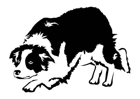 Border Collie Tattoo Outline, Grandad Tattoo, Collie Tattoo, Border Collie Tattoo, Cute Cat Tattoo, Dog Games, Border Collie Dog, Wolf Tattoo, Border Collies