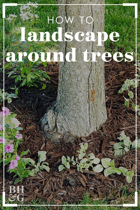 Shade trees are one of the best investments you can make in your landscape. Enhance their beauty and help them stay healthy with these simple tips for making the most of the space around them. Here are our tips and tricks for landscaping around a tree. #gardening #gardenideas #landscapingideas #yardideas #bhg Tree With Mulch Around Them, Gardening Around Trees, Landscape Around Tree, Landscape Around Trees, Frog Hotel, Mulch Around Trees, How To Landscape, Landscaping Around Trees, Mulch Landscaping